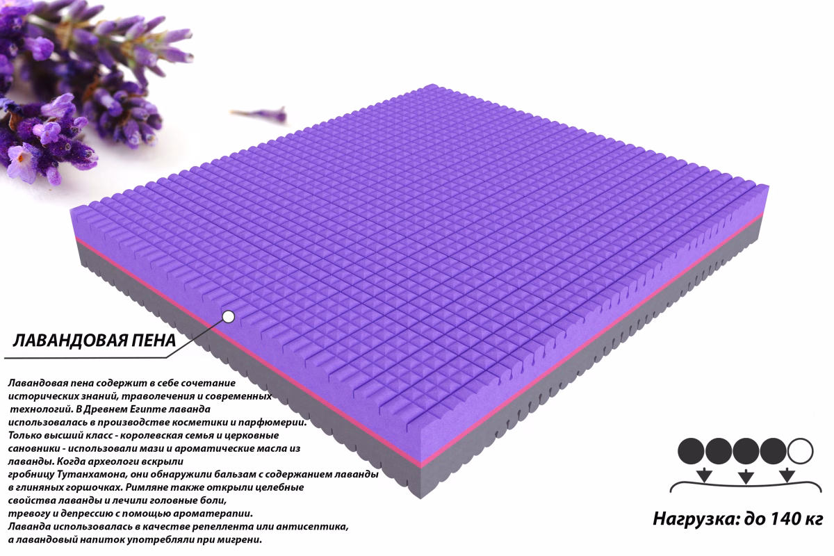 LAVENDER DUO PL50