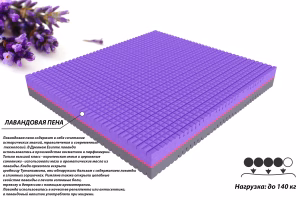 LAVENDER DUO PL50